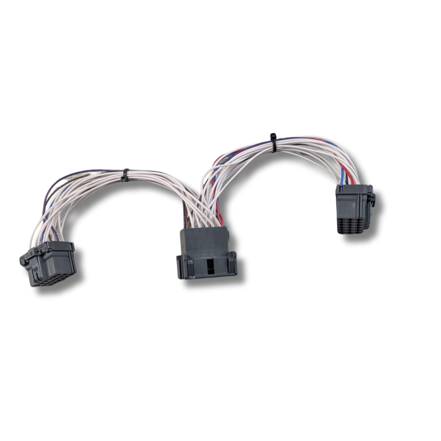 18-Way FMS Y Lead – DAF XG (Plug & Play)