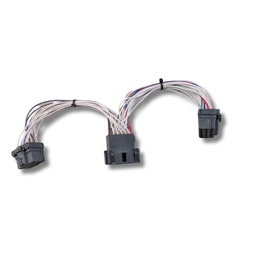 18-Way FMS Y Lead – DAF XG (Plug & Play)